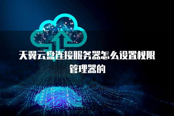天翼云盘连接服务器怎么设置权限管理器的