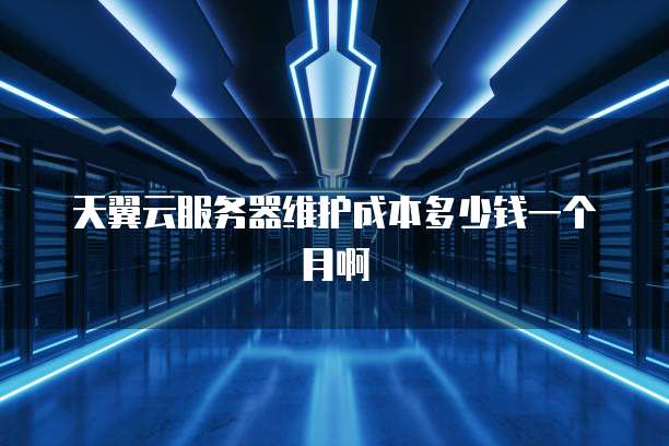 天翼云服务器维护成本多少钱一个月啊