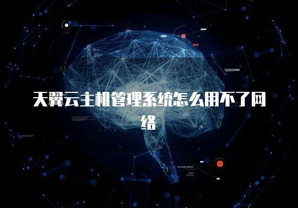 天翼云主机管理系统怎么用不了网络