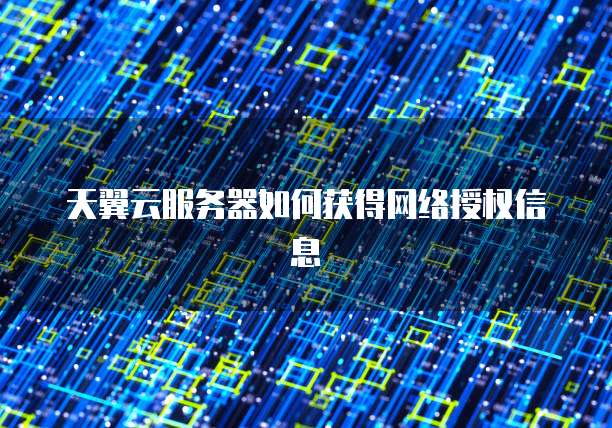 天翼云服务器如何获得网络授权信息