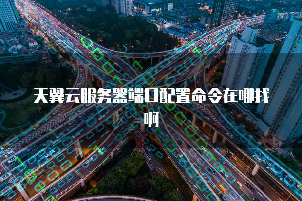 天翼云服务器端口配置命令在哪找啊