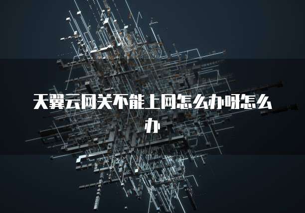 天翼云网关不能上网怎么办呀怎么办