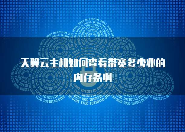 天翼云主机如何查看带宽多少兆的内存条啊