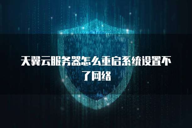 天翼云服务器怎么重启系统设置不了网络