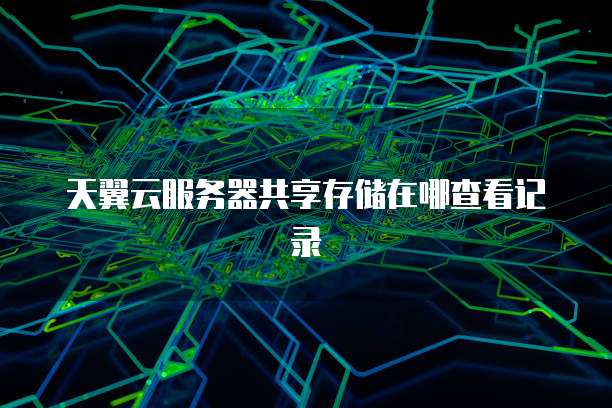 天翼云服务器共享存储在哪查看记录