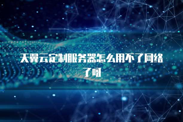 天翼云定制服务器怎么用不了网络了呀