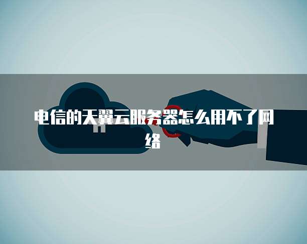 电信的天翼云服务器怎么用不了网络