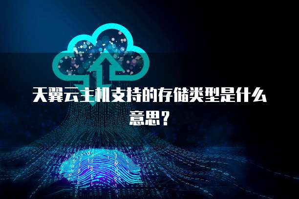 天翼云主机支持的存储类型是什么意思？