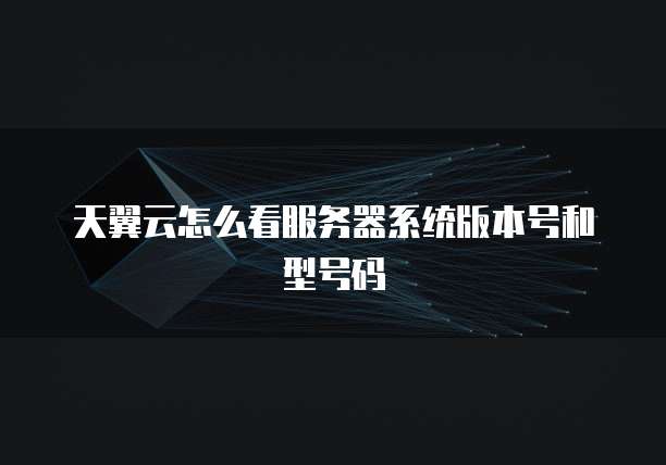 天翼云怎么看服务器系统版本号和型号码