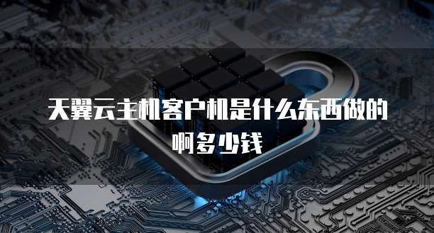 天翼云主机客户机是什么东西做的啊多少钱