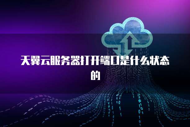 天翼云服务器打开端口是什么状态的