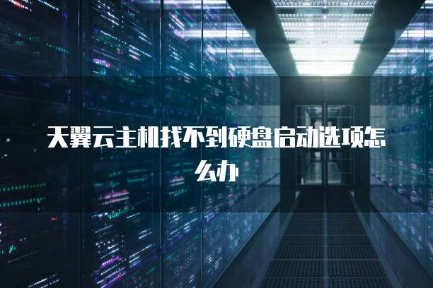 天翼云主机找不到硬盘启动选项怎么办