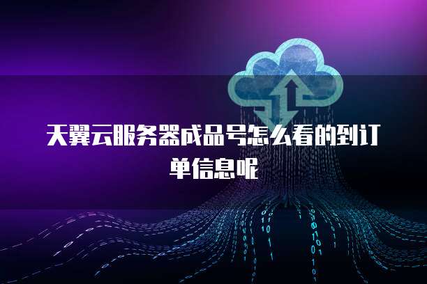 天翼云服务器成品号怎么看的到订单信息呢