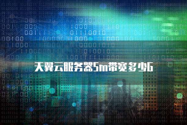 天翼云服务器5m带宽多少G