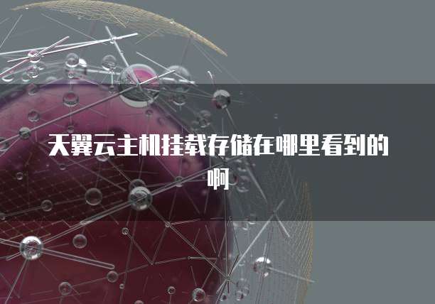 天翼云主机挂载存储在哪里看到的啊