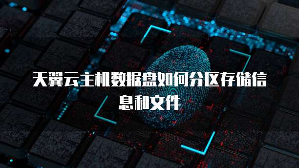 天翼云主机数据盘如何分区存储信息和文件