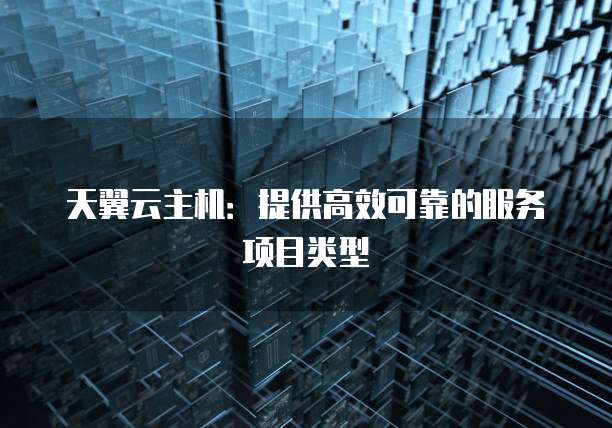 天翼云主机：提供高效可靠的服务项目类型