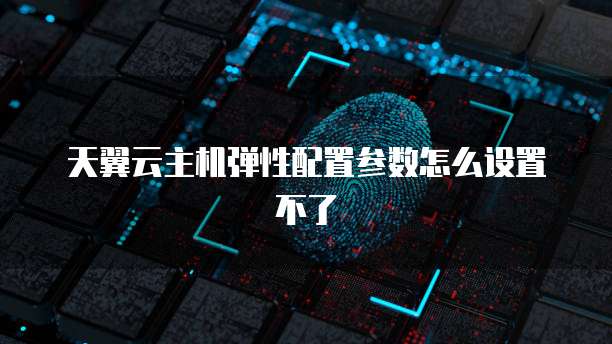 天翼云主机弹性配置参数怎么设置不了