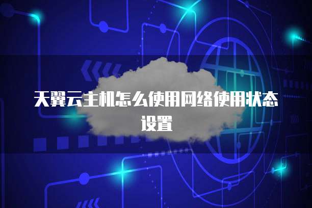 天翼云主机怎么使用网络使用状态设置