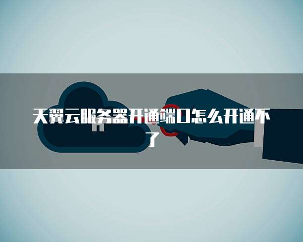 天翼云服务器开通端口怎么开通不了