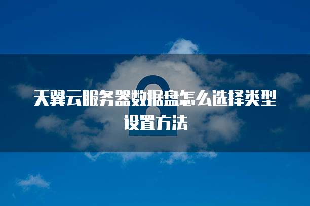 天翼云服务器数据盘怎么选择类型设置方法
