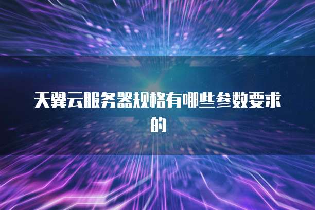 天翼云服务器规格有哪些参数要求的