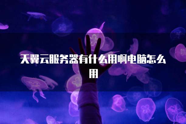 天翼云服务器有什么用啊电脑怎么用
