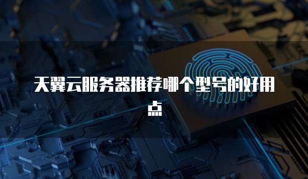 天翼云服务器推荐哪个型号的好用点