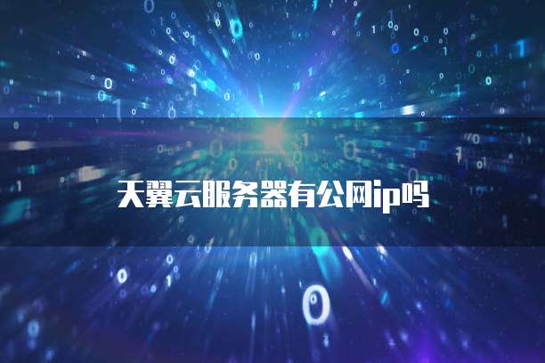 天翼云服务器有公网ip吗