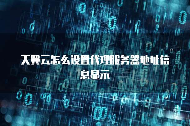 天翼云怎么设置代理服务器地址信息显示