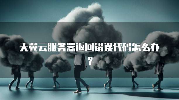 天翼云服务器返回错误代码怎么办？