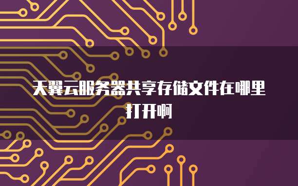 天翼云服务器共享存储文件在哪里打开啊