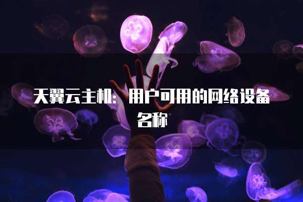 天翼云主机：用户可用的网络设备名称