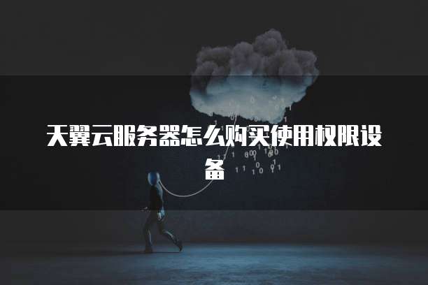 天翼云服务器怎么购买使用权限设备