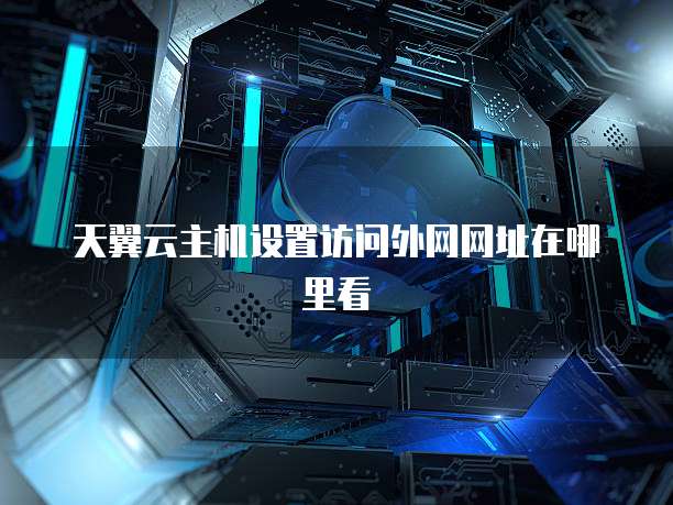 天翼云主机设置访问外网网址在哪里看