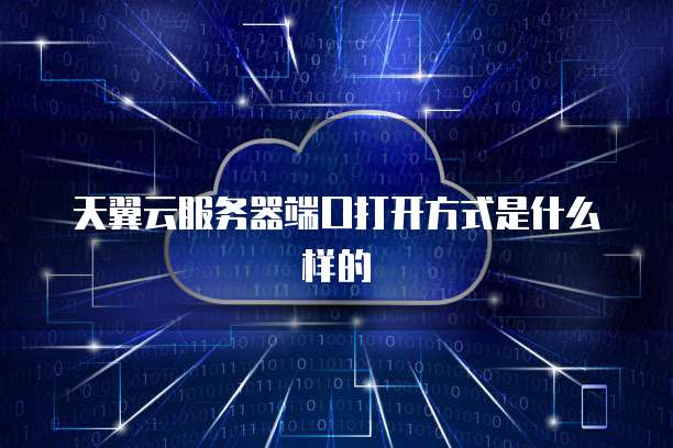 天翼云服务器端口打开方式是什么样的