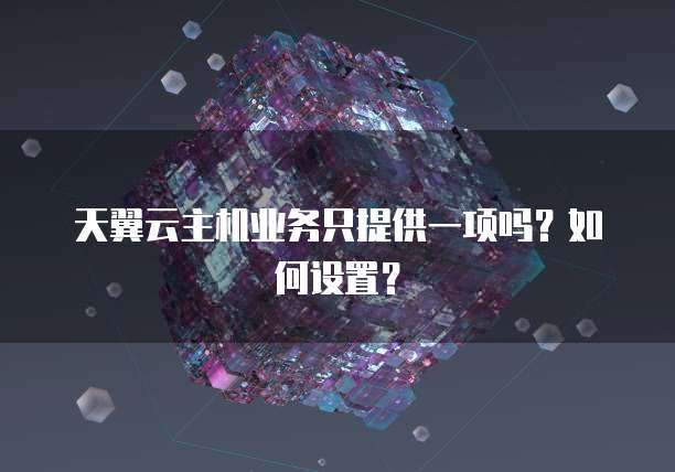 天翼云主机业务只提供一项吗？如何设置？