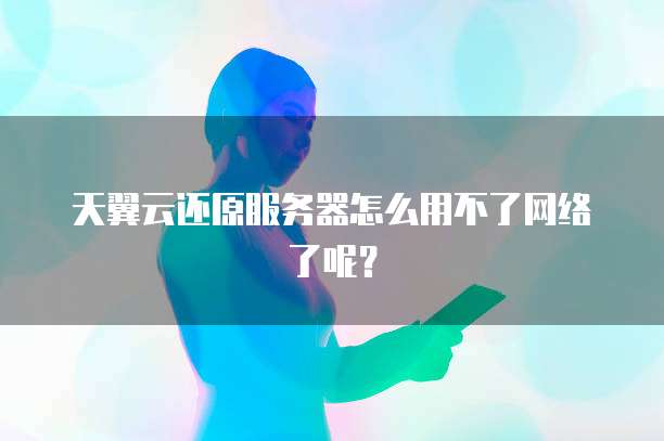 天翼云还原服务器怎么用不了网络了呢？