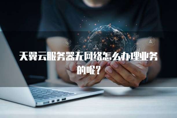 天翼云服务器无网络怎么办理业务的呢？
