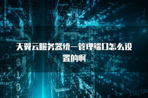 天翼云服务器统一管理端口怎么设置的啊