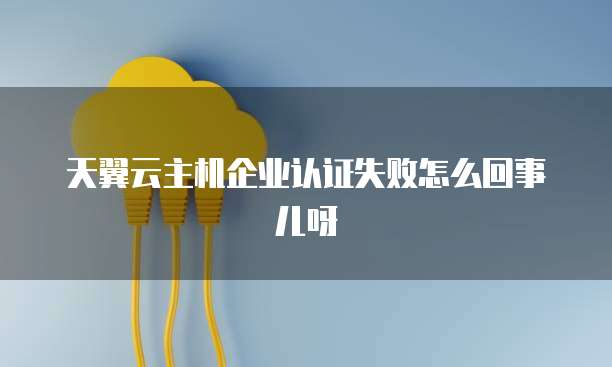 天翼云主机企业认证失败怎么回事儿呀