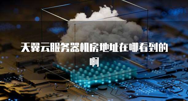 天翼云服务器机房地址在哪看到的啊