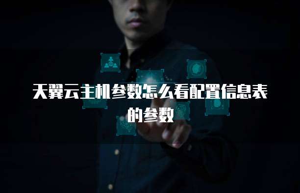 天翼云主机参数怎么看配置信息表的参数
