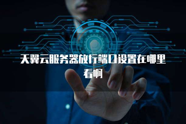 天翼云服务器放行端口设置在哪里看啊