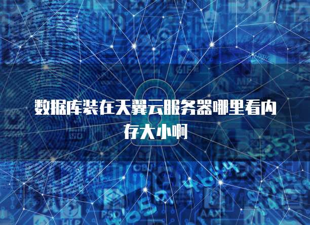 数据库装在天翼云服务器哪里看内存大小啊