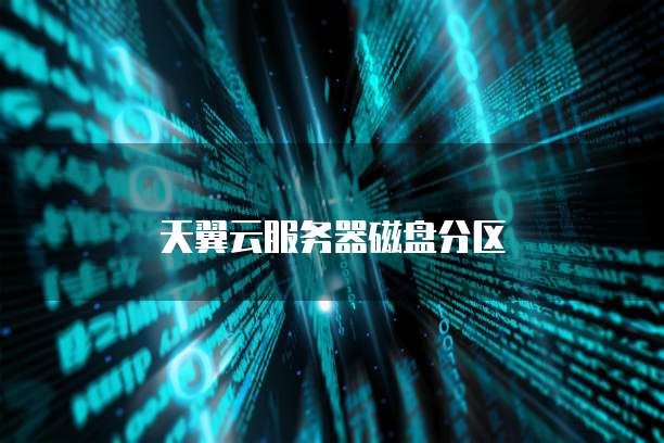 天翼云服务器磁盘分区