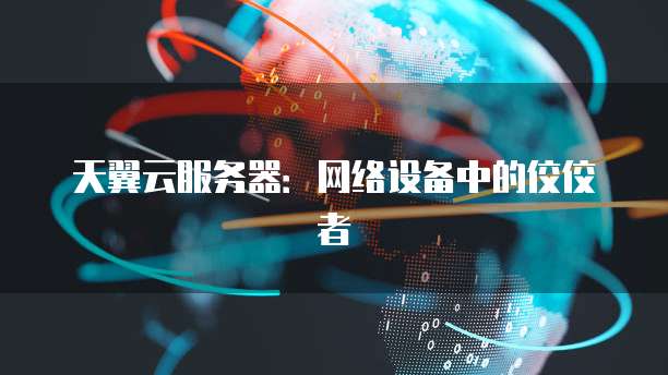天翼云服务器：网络设备中的佼佼者