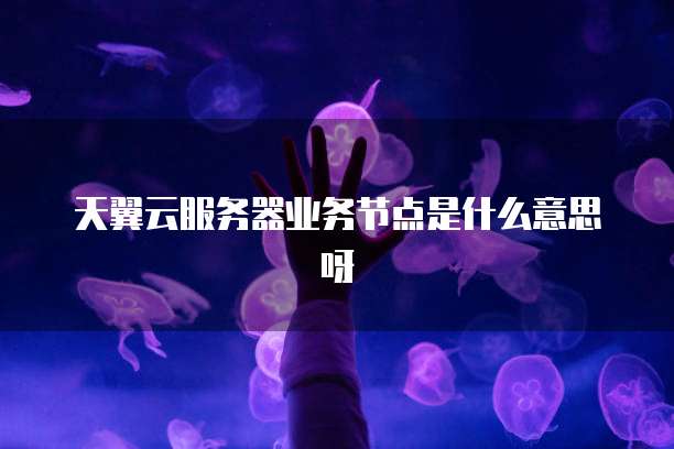 天翼云服务器业务节点是什么意思呀