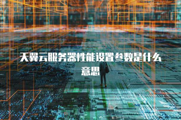天翼云服务器性能设置参数是什么意思