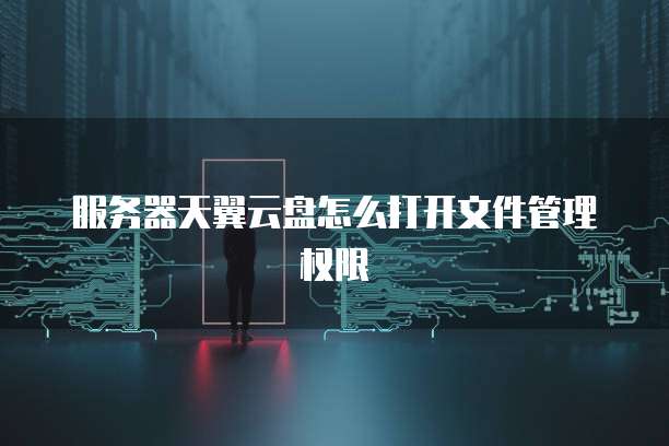 服务器天翼云盘怎么打开文件管理权限